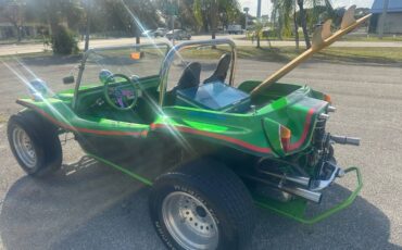 Volkswagen-beetle-1965-green-7