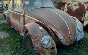 Volkswagen-beetle-1965-red-1