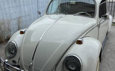 Volkswagen-beetle-1966-1
