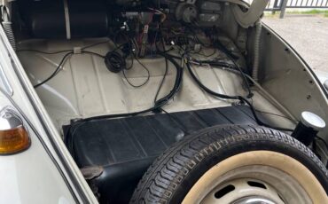 Volkswagen-beetle-1966-8