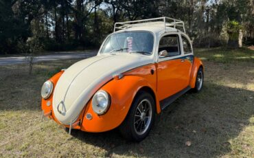Volkswagen-beetle-1966-orange-2