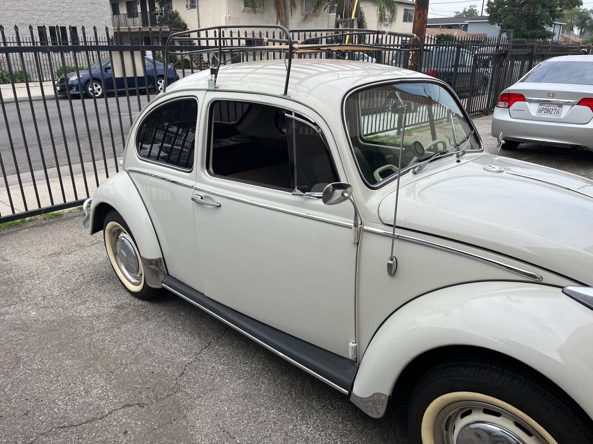 Volkswagen-beetle-1966