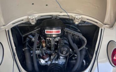 Volkswagen-beetle-1967-1