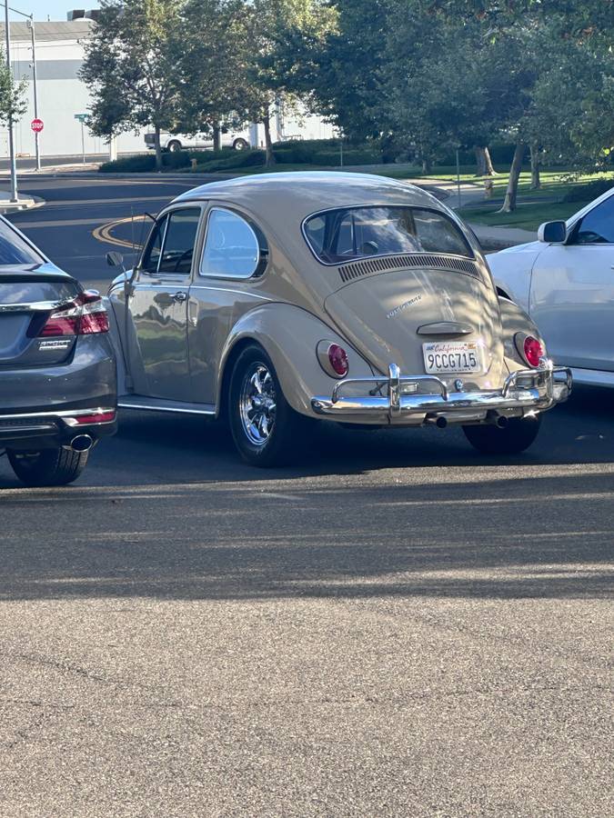 Volkswagen-beetle-1967-11