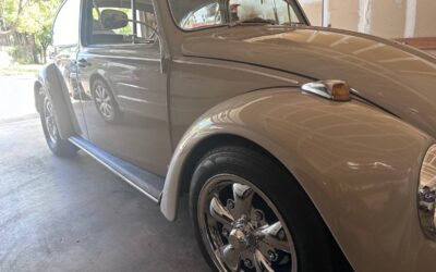 Volkswagen beetle 1967