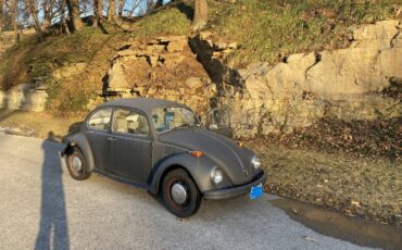 Volkswagen-beetle-1970-grey