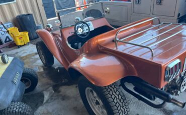 Volkswagen-beetle-1971-brown-1