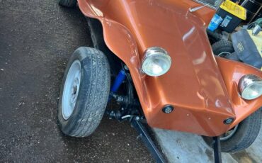 Volkswagen-beetle-1971-brown-3