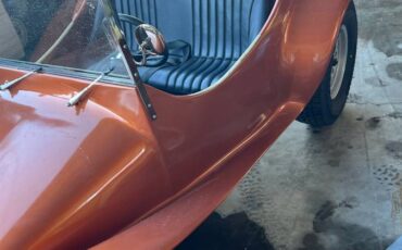 Volkswagen-beetle-1971-brown-4