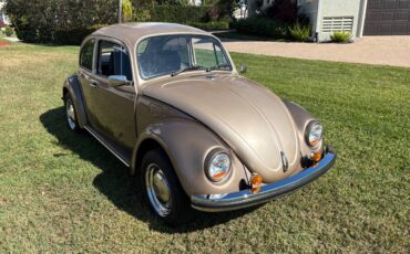 Volkswagen-beetle-1972-brown-1
