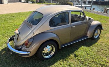 Volkswagen-beetle-1972-brown-2