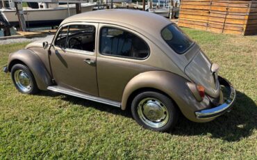 Volkswagen-beetle-1972-brown-3
