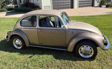 Volkswagen-beetle-1972-brown