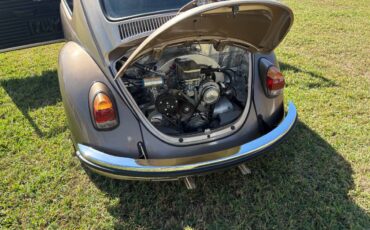 Volkswagen-beetle-1972-brown-4