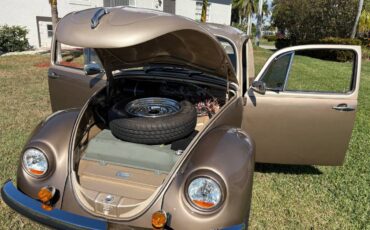 Volkswagen-beetle-1972-brown-6