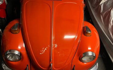 Volkswagen-beetle-1973-3