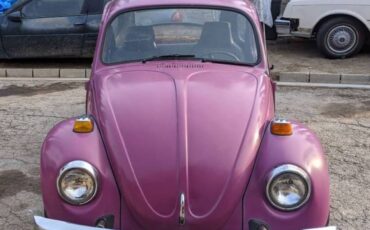 Volkswagen-beetle-1976-purple-1