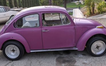 Volkswagen-beetle-1976-purple