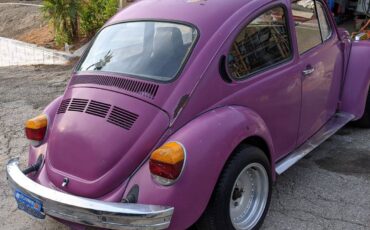 Volkswagen-beetle-1976-purple-4
