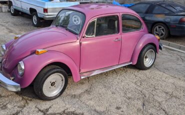 Volkswagen-beetle-1976-purple-5