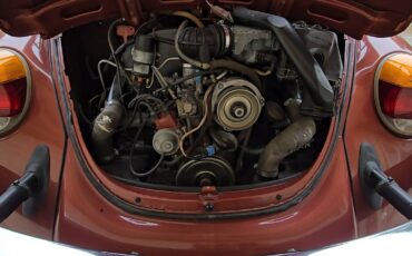 Volkswagen-beetle-1978-11