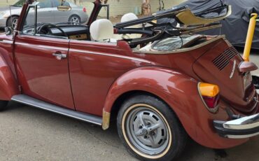 Volkswagen-beetle-1978-3