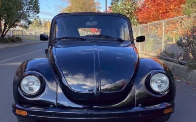 Volkswagen beetle 1979