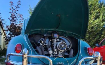 Volkswagen-bug-1965-green-1