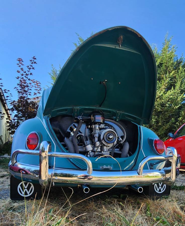 Volkswagen-bug-1965-green-1