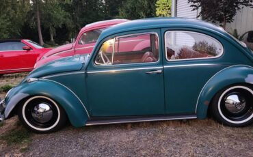 Volkswagen-bug-1965-green-10