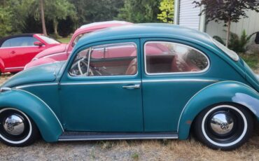 Volkswagen-bug-1965-green-11