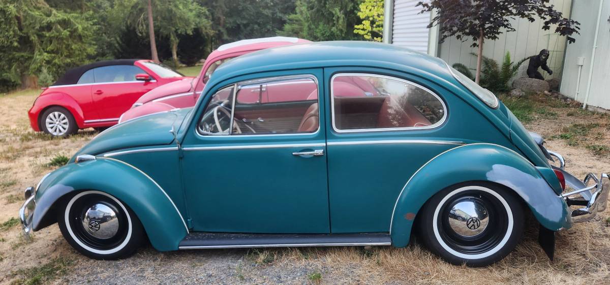 Volkswagen-bug-1965-green-11