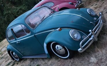 Volkswagen-bug-1965-green-12