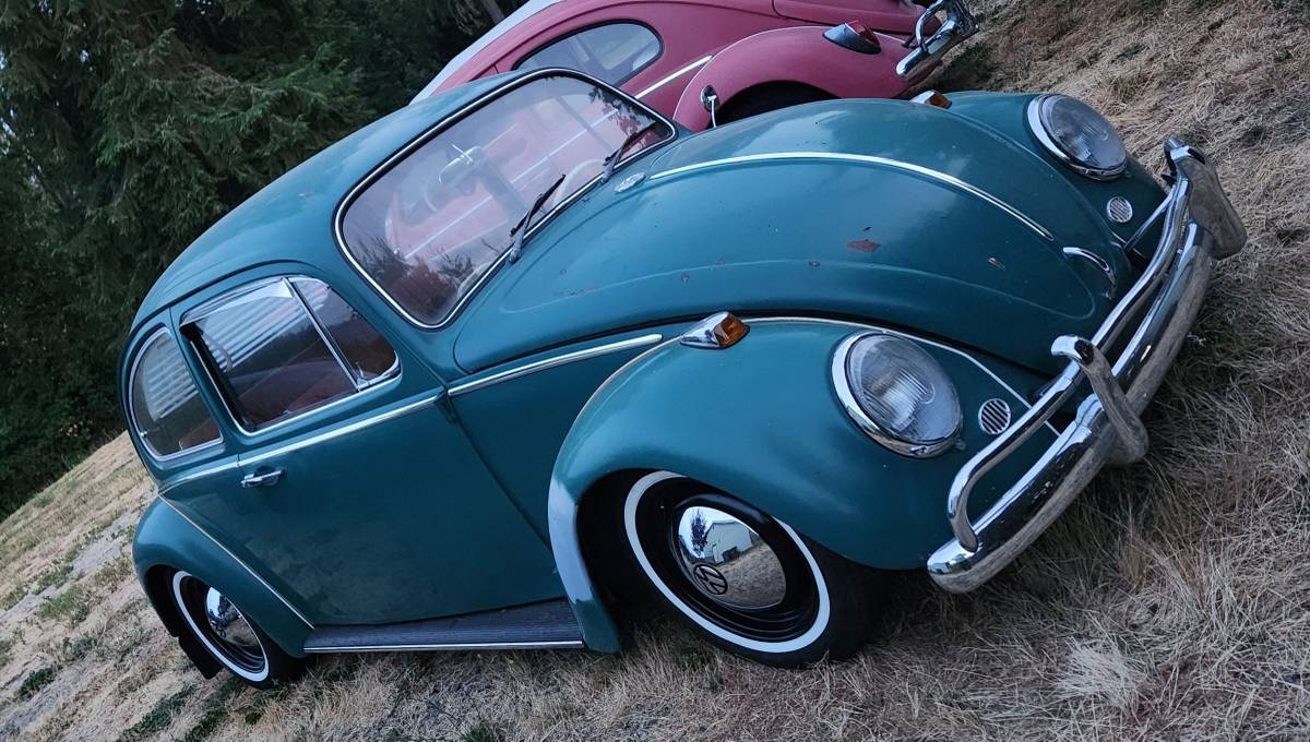 Volkswagen-bug-1965-green-12