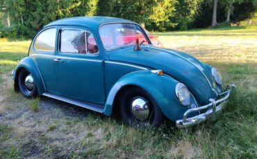 Volkswagen-bug-1965-green-13