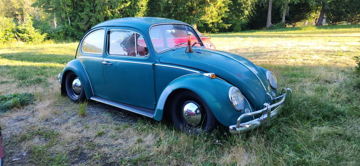 Volkswagen-bug-1965-green-13