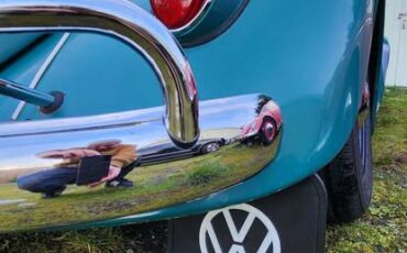 Volkswagen-bug-1965-green-16