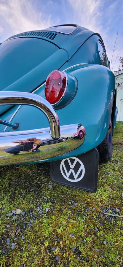Volkswagen-bug-1965-green-16