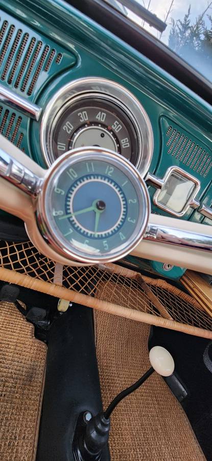 Volkswagen-bug-1965-green-19