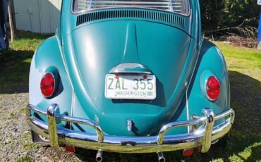 Volkswagen-bug-1965-green-2