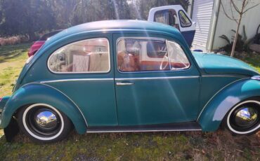 Volkswagen-bug-1965-green-3