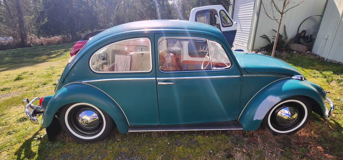 Volkswagen-bug-1965-green-3