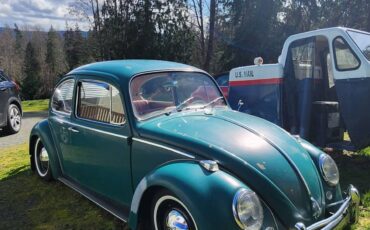 Volkswagen-bug-1965-green