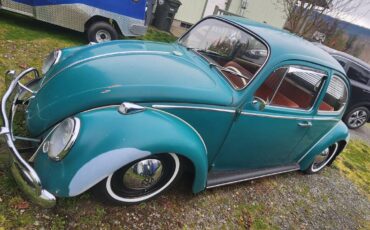 Volkswagen-bug-1965-green-4