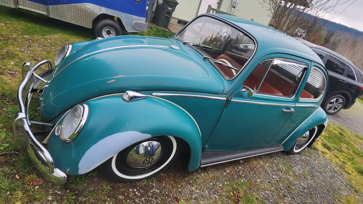 Volkswagen-bug-1965-green-4