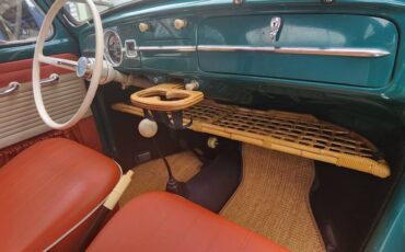 Volkswagen-bug-1965-green-6