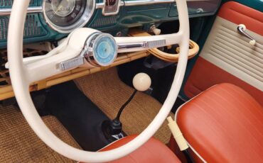 Volkswagen-bug-1965-green-8