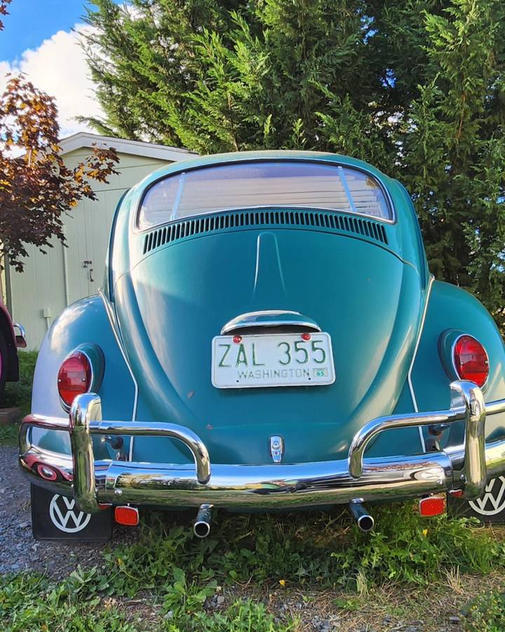 Volkswagen-bug-1965-green-9