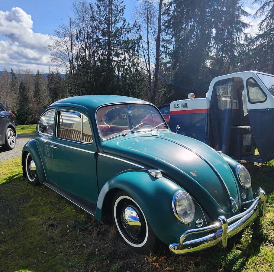 Volkswagen-bug-1965-green