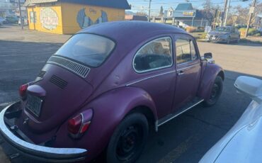 Volkswagen-bug-1970-purple-3